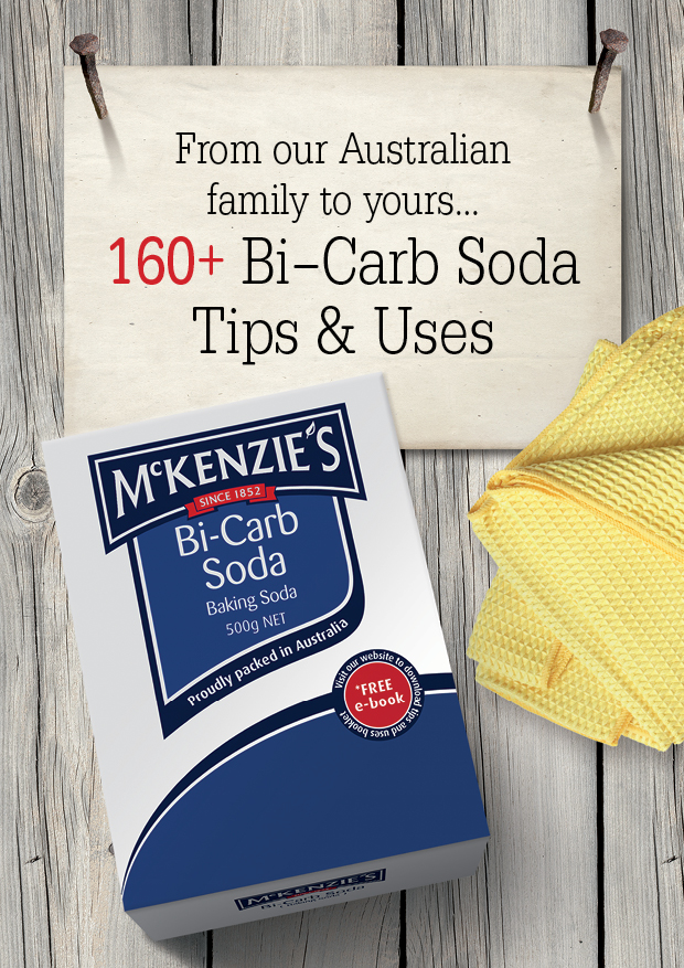 Bi-Carb Soda Tips & Uses ebook cover thumbnail image